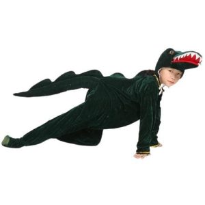 Déguisement Dinosaure pour Enfant