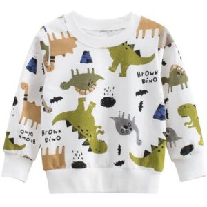Pull Dinosaure 5 Ans