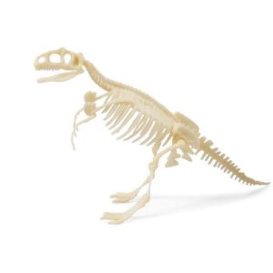 Jouet Dinosaure dans Œuf T Rex