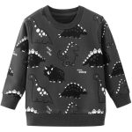 Pull Petits Dinosaures