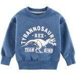 Sweat Motif Dinosaure 90's