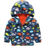 Veste Dinosaure Garcon