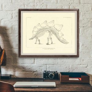 affiche dinosaure fossile