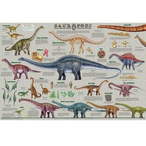 Affiche Pédagogique Dinosaures