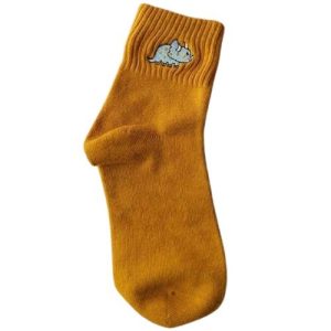 Chaussette Avec Dinosaure