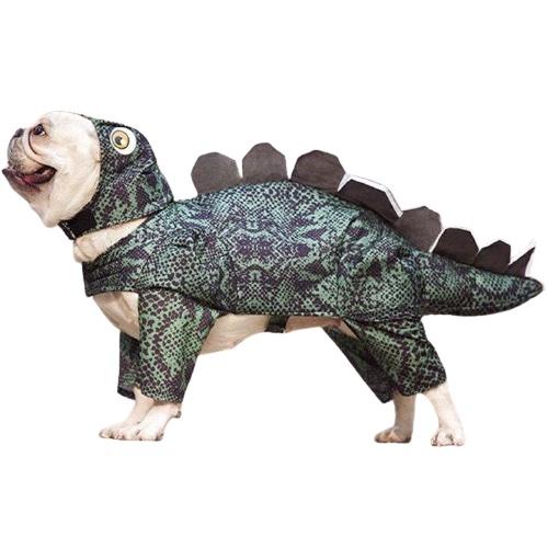 costume dinosaure chien