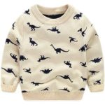 Pull Dinosaure Enfant