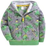 Sweat Dinosaure Garçon