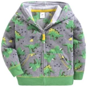Sweat Dinosaure Garçon