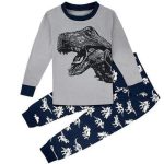 Pyjama Dinosaure 3 Ans
