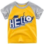 T-Shirt Dinosaure 5 ans - Dino Jurassic