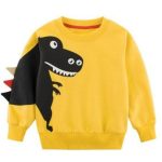 Pull Dinosaure 4 Ans - Dino Jurassic