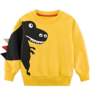 Pull Dinosaure 4 Ans - Dino Jurassic