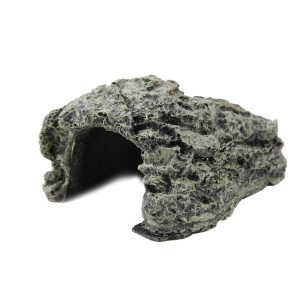 Décor Pour Figurine Dinosaure