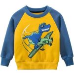 Sweat Dinosaure Garçon