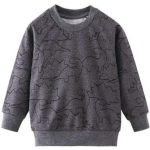Pull Dinosaure 6 Ans