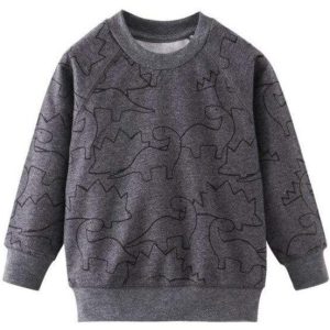 Pull Dinosaure 6 Ans
