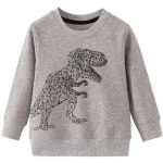 Sweat Dinosaure T-Rex 3D