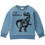 Sweat Dinosaure T-Rex Bleu