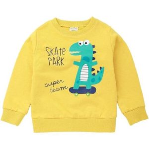Sweat Dinosaure 4 Ans