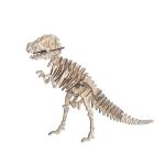 Puzzle de Dinosaure 3D T Rex