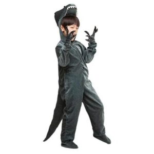 Déguisement Dinosaure Garçon 10-12 Ans