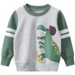 Sweat Garçon 8 Ans Dinosaure