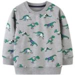 Sweat Dinosaure Football