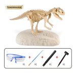 Jouet Dinosaure Squelette a Decouvrir