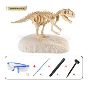 Jouet Dinosaure Squelette a Decouvrir