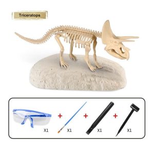 Squelette Dinosaure a Decouvrir Jouet