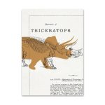 Deco Chambre Garcon Dinosaure
