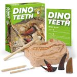 Jouet Dent de Dinosaure