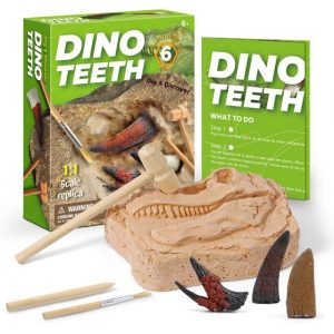 Jouet Dent de Dinosaure