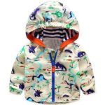 Veste Dinosaure Jurassique