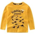 T-Shirt Dinosaures Enfant