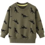 Pull Dinosaure Garcon