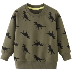 Pull Dinosaure Garcon