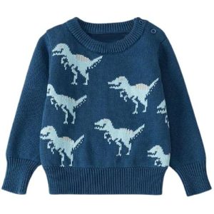 Pull Tricot Enfant Dinosaure