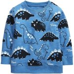 Sweat Dinosaure Pour Garcon