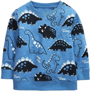 Sweat Dinosaure Pour Garcon